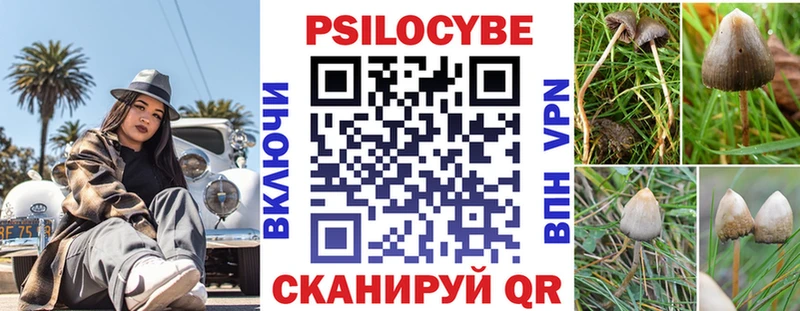 Галлюциногенные грибы Psilocybine cubensis  Гаджиево 